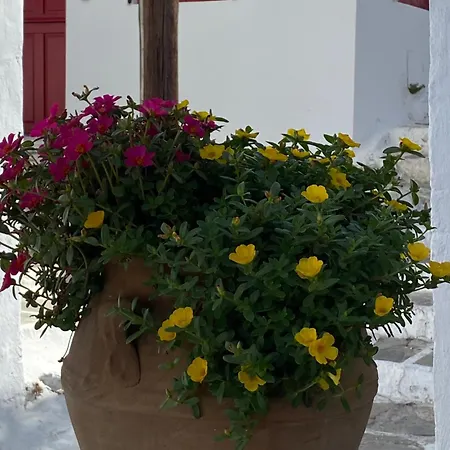 Pensione Della Nonna-3
